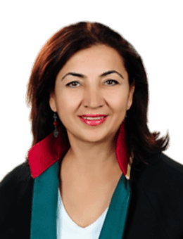 Şunun resmi: